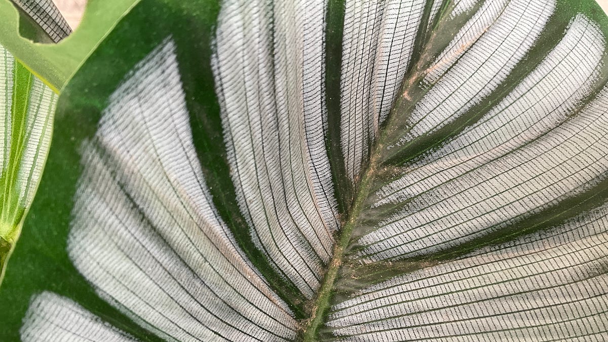 We Don’t Need AI to Make Slop