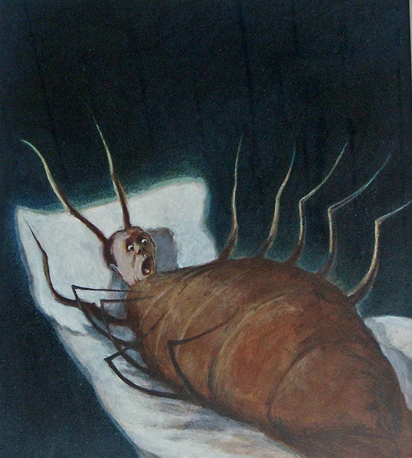 The Metamorphosis. As Gregor Samsa awoke one morning from… | by Nairah Khan  | Medium