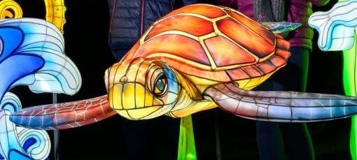 Giant Lanterns advance press shoot. IMAGE: Ian Georgeson September 2025