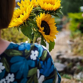 Seasonal Moments in Nature | August 2026