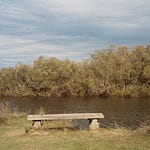Human Stuff | Lisa Olivera | Substack