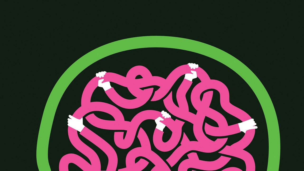 It's Always the Other Side That's Been Brainwashed | The New Yorker