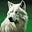 SnowWolf's avatar