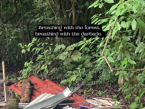 Images of a garbage pile in the middle of the rainforest 