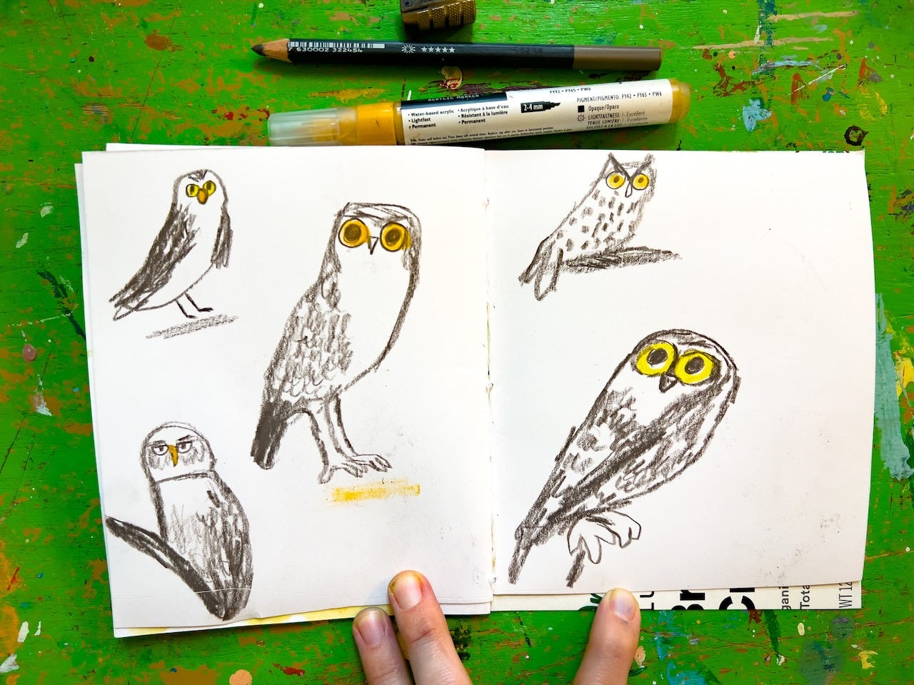 owl sketches by Beth Spencer