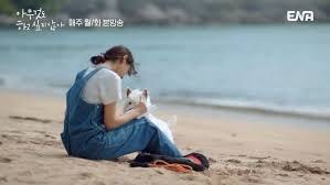 Summer Strike - AsianWiki