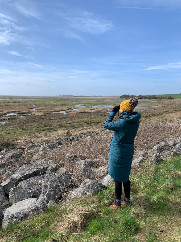 Woman in yellow head and turquoise coat looks through binoculars across beautiful Humphrey Head marshland