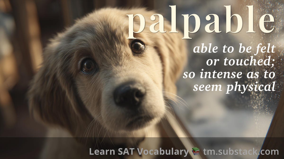 Palpable -- SAT word card: close-up of wistful puppy by a window, soft light; you can almost feel the puppy's longing.