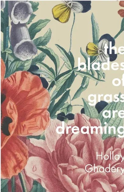 the blades of grass are dreaming by Hollay Ghadery