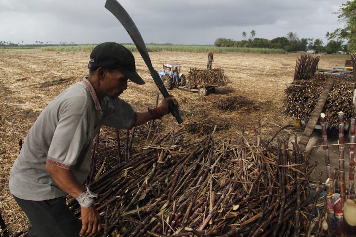 Under Marcos, the lush sugar lands of Negros Island turned red - LiCAS.news  | Light for the Voiceless