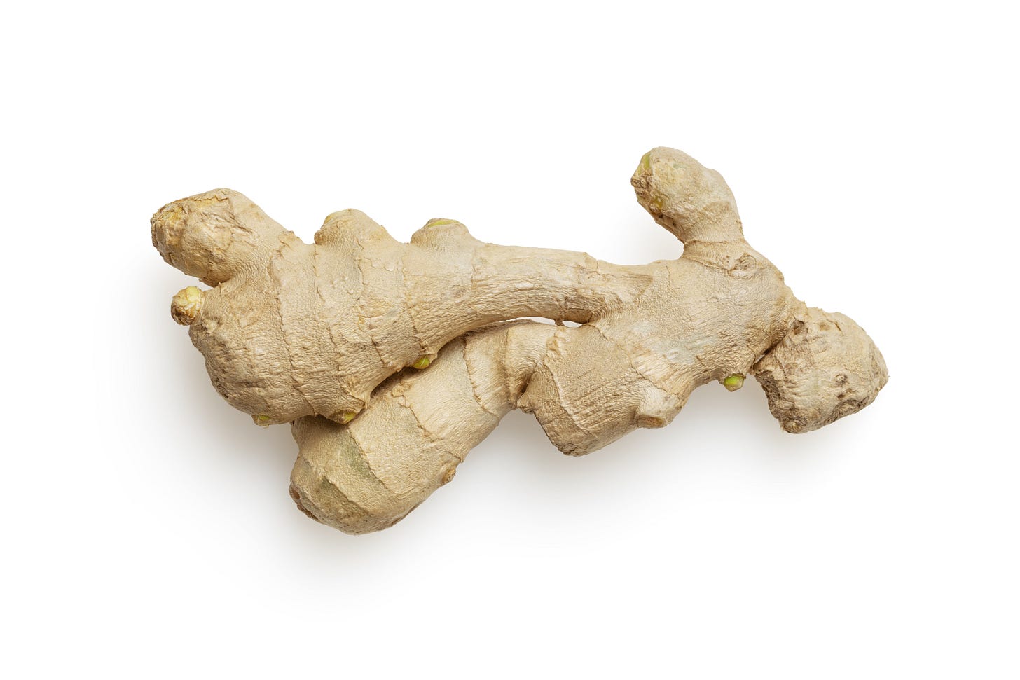 a close up photo of a ginger root