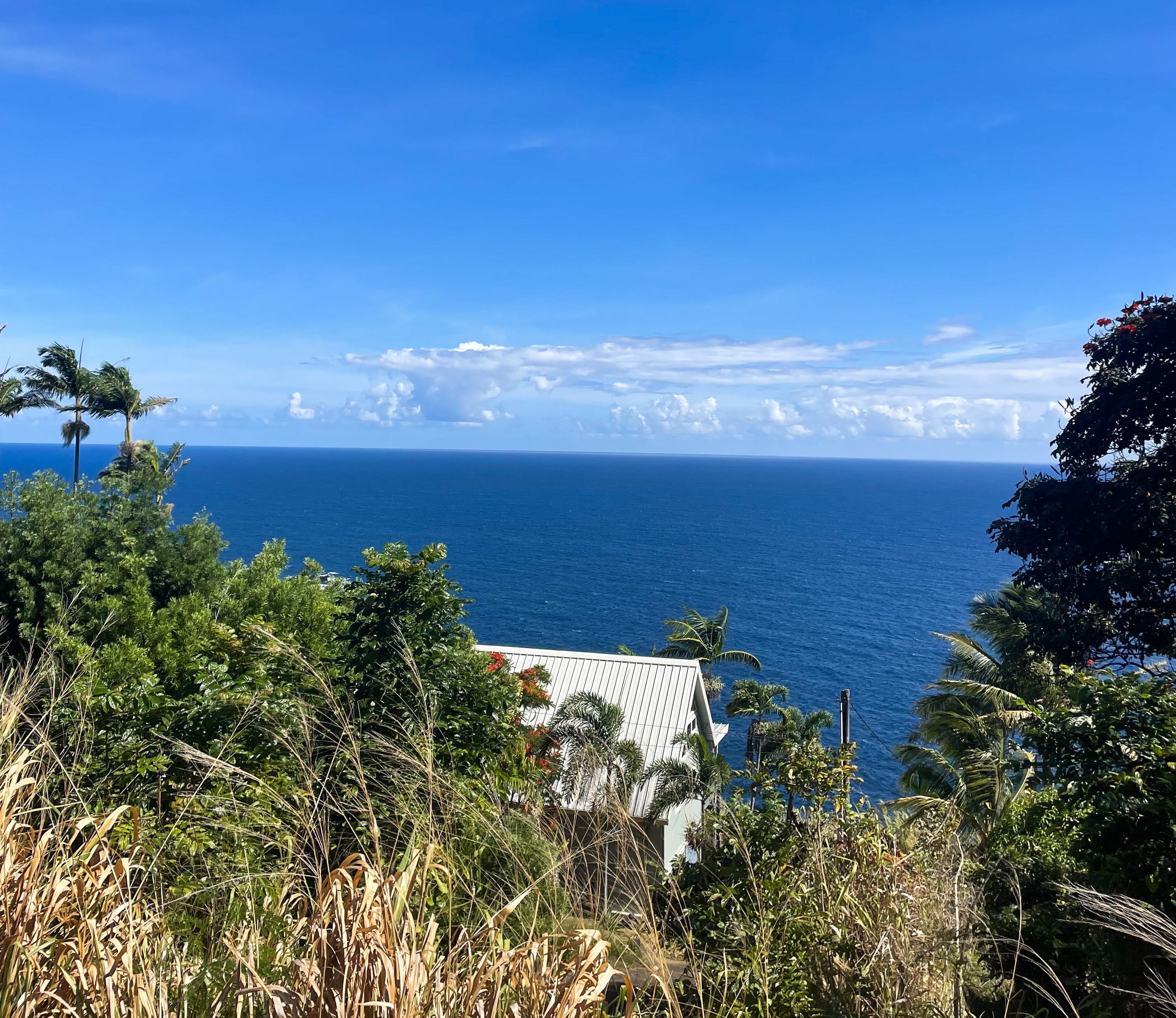 The Gay Lane Travel Guide: The Big Island of Hawaiʻi