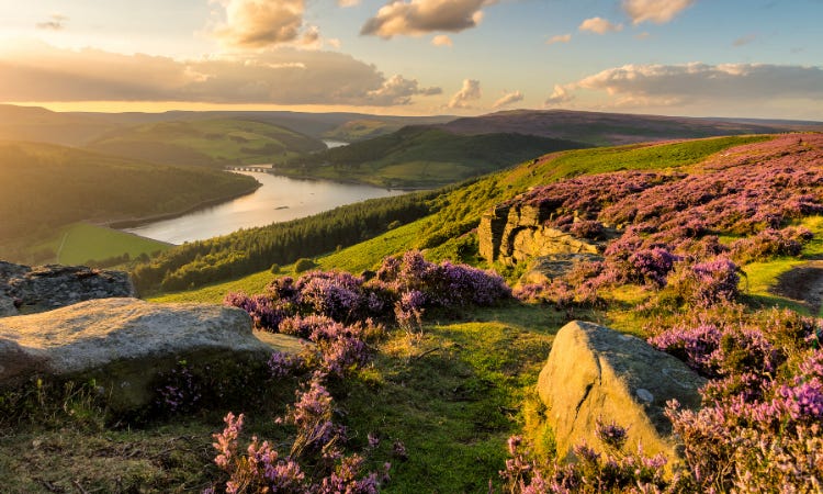 Midlands Travel Guide - Everything You Need to Know | Oliver's Travels