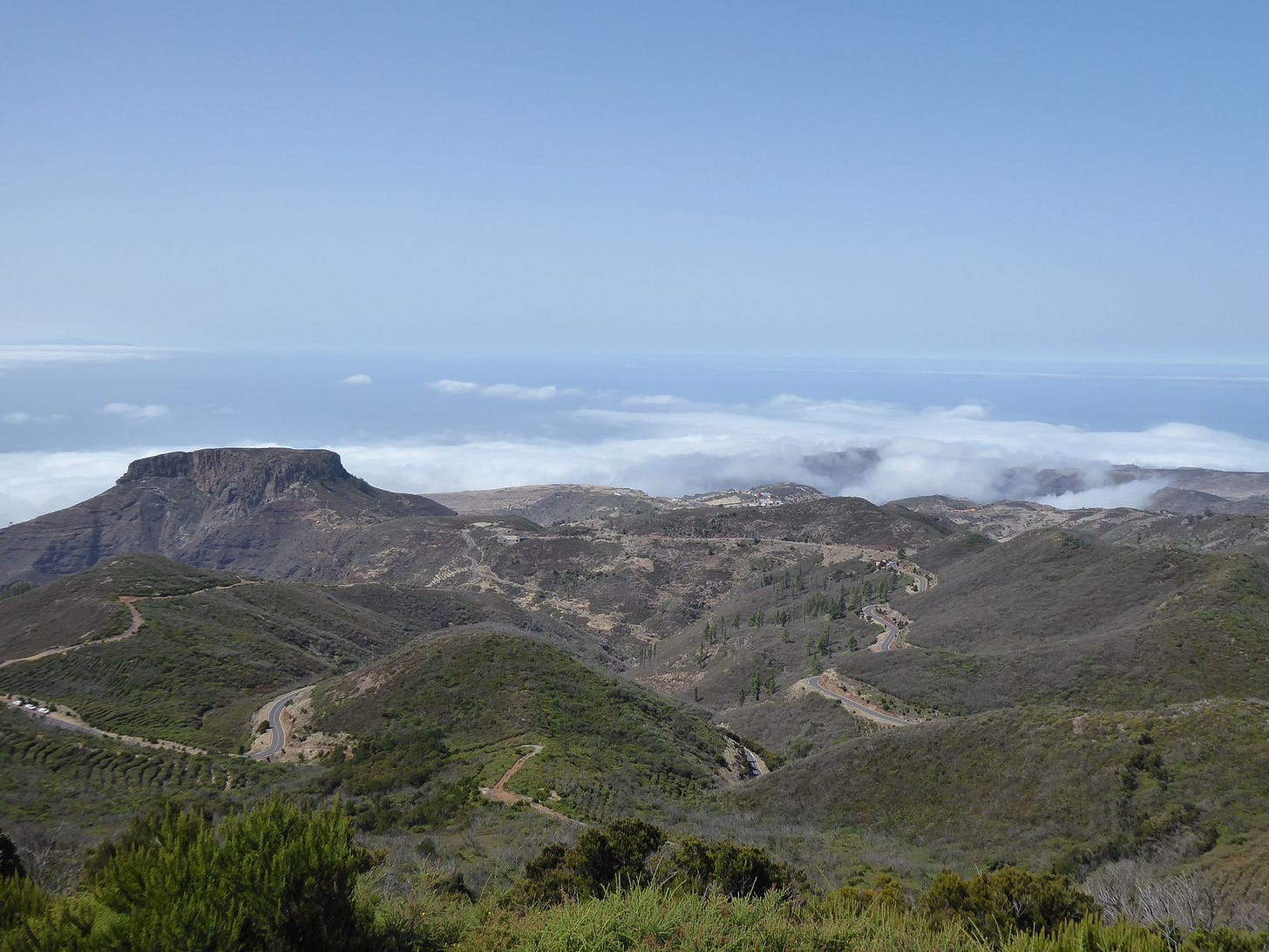The fragile forests of La Gomera