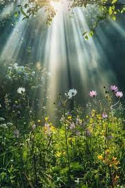 We are happy not because we were born rich or poor; we are happy because  Christ is born in us. Let's not fall into the trap of our own thinking. It  seems