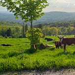 Small Farm Republic
