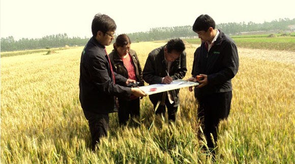 conflicting incentives to push financial burden to rural households