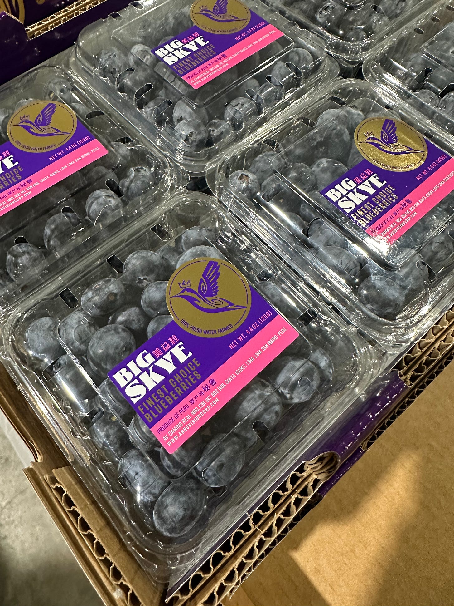 Jumbo Blueberries