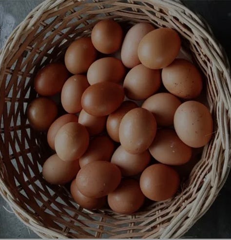 a grid of farms from across the US