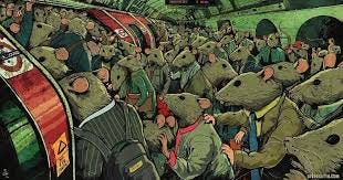 The Cruel Truth About How The 'Rat Race' In Modern Society Affects Our  Happiness Explained In Less Than 5 Minutes