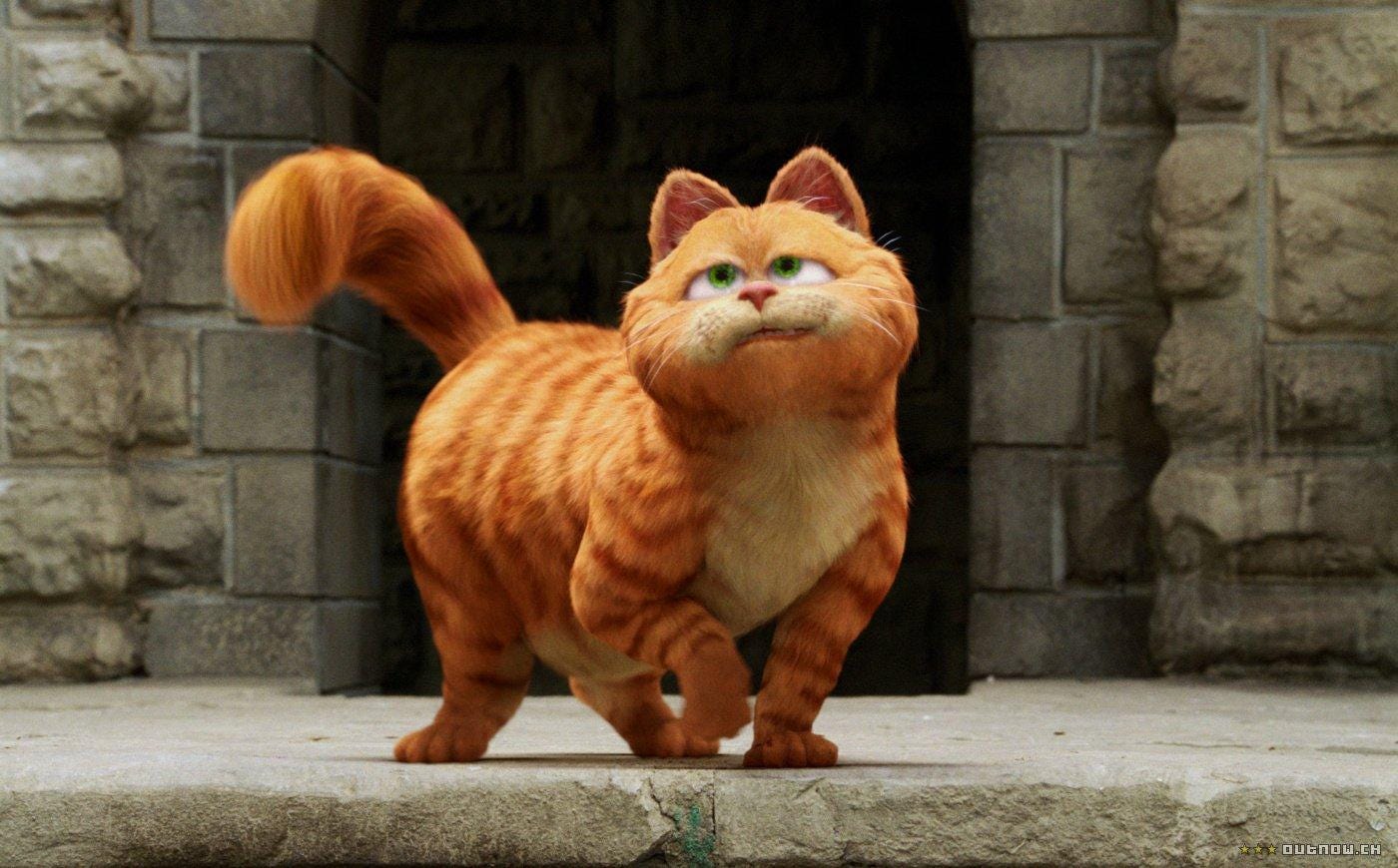 Dia Mundial do Gato: confira lista dos bichinhos mais amados do cinema e da  TV - Zoeira - Diário do Nordeste