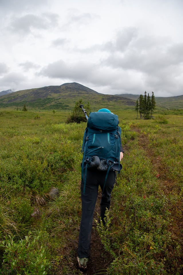 A hiker with a large teal pack and teal beanie walks away down a narrow dirt path through green brush and low tundra toward a rounded, dark-topped mountain half-lost in heavy grey overcast. Scattered small spruce dot the wet meadow on either side.