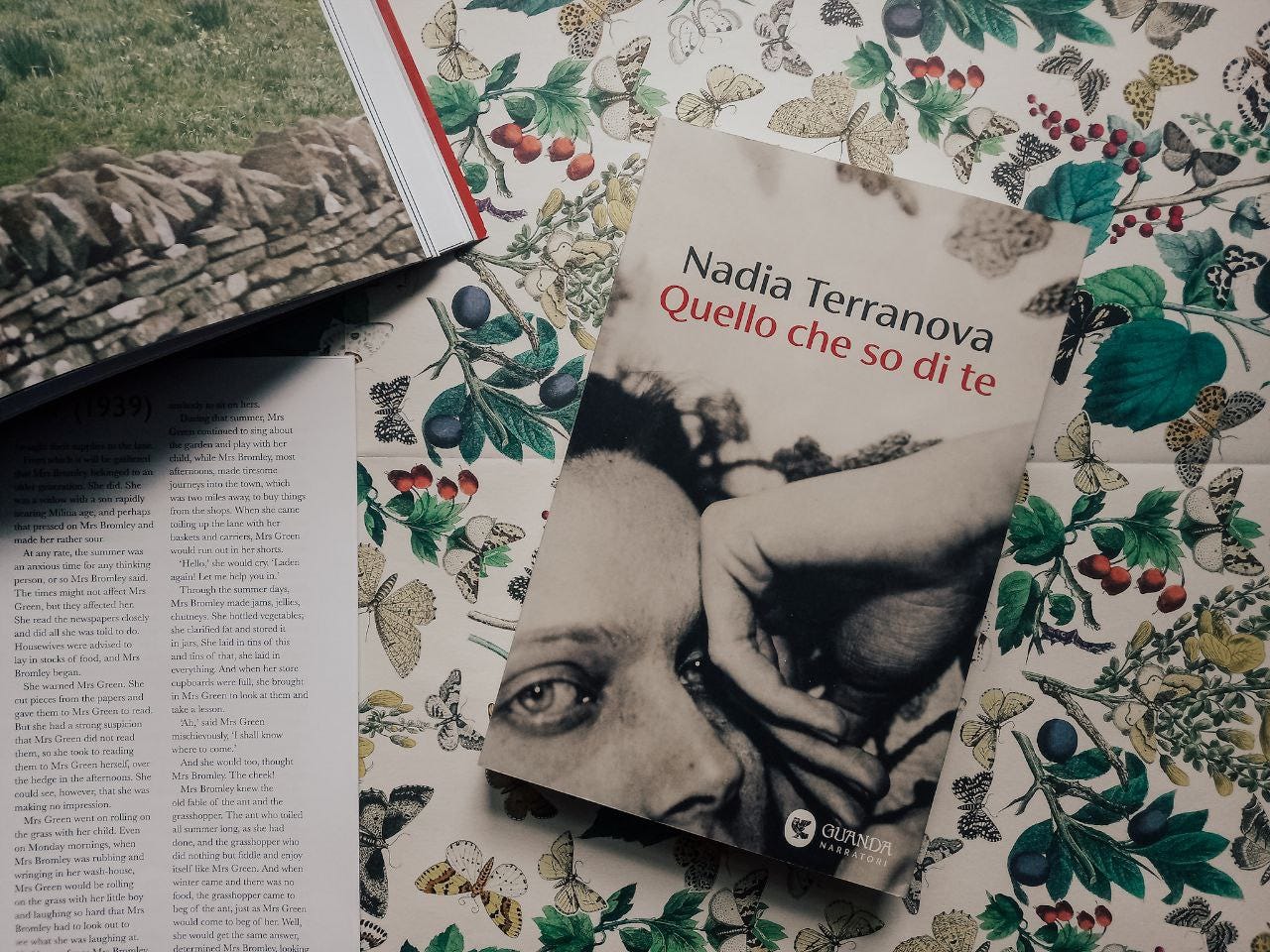 Fotografia del romanzo di Nadia Terranova Quello che so di te.