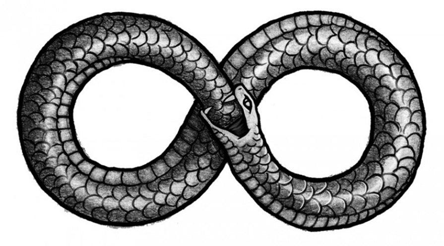 The Whole Snake | Verso Books