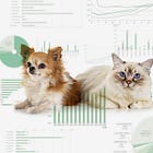 Stock Pitch #1, Anicom Holdings, Inc