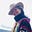 Vanessa Tiegs's avatar
