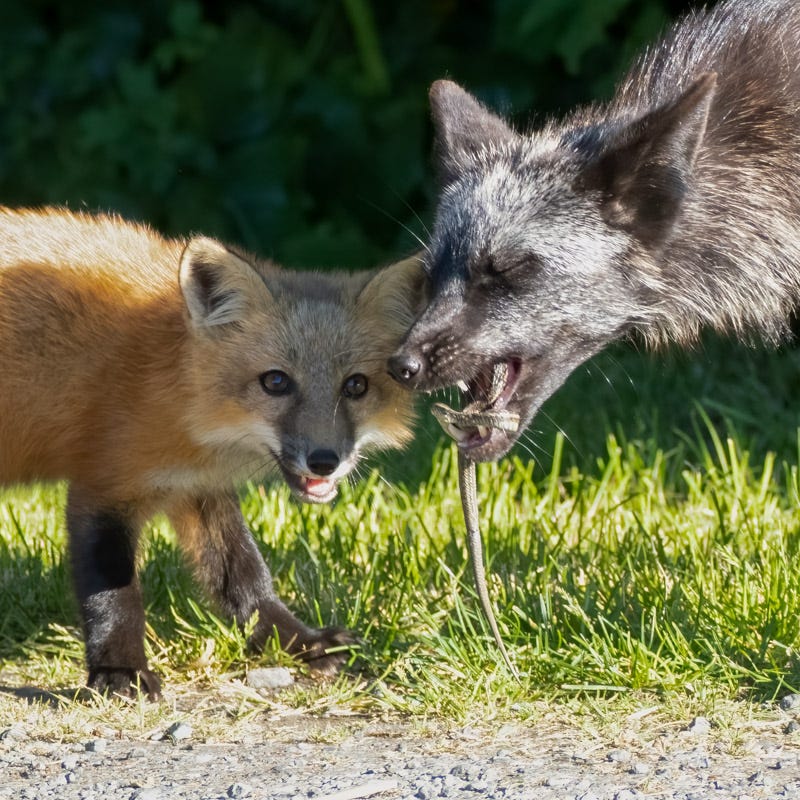 20250610-SJI3-269-Edit 2.jpg 20250610-SJI3-269-Edit 2.jpg