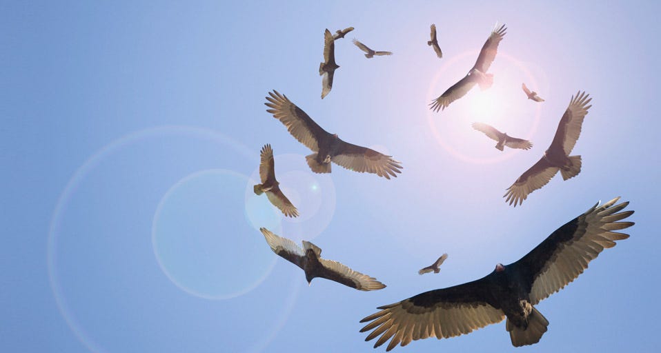 vultures-circling - TN Valley Unitarian Universalist Church