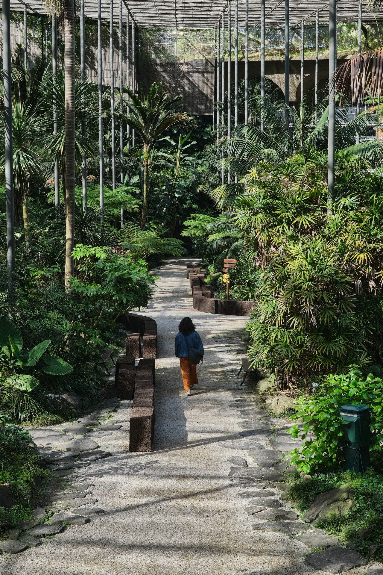 Photo taken at the May 2025 Future Days festival. This image shows an individual with long hair and baggy clothes walking away from the camera. The setting is within a botanical garden and the person walks down a path through a tropical garden. Photo taken at the May 2025 Future Days festival. This image shows an individual with long hair and baggy clothes walking away from the camera. The setting is within a botanical garden and the person walks down a path through a tropical garden.