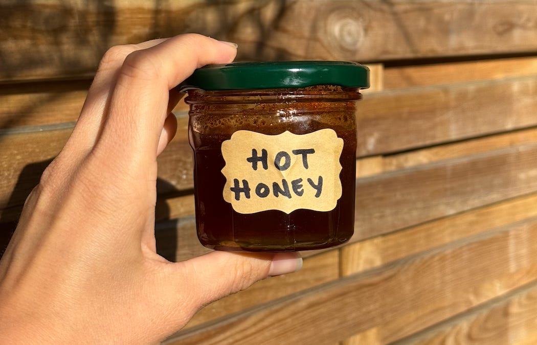 Hot Honey Recipe - by Claire Dinhut - CondimentClaire