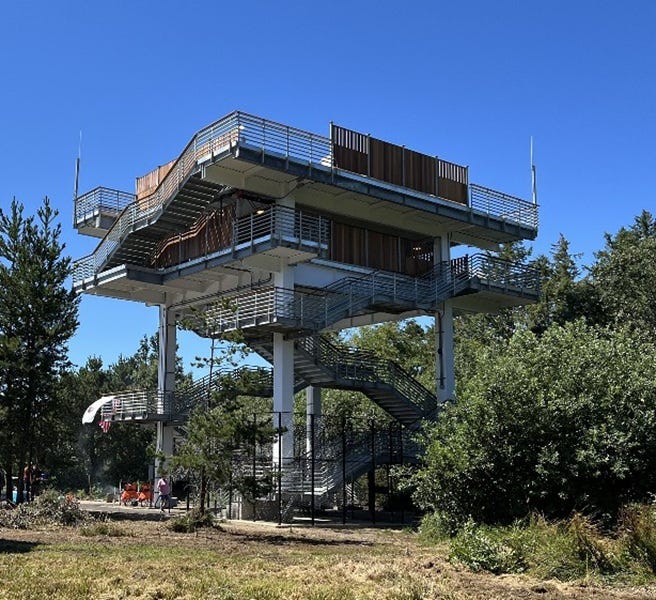 Washington State's Latest Scheme To Funnel Tax Dollars To Democrat Donors, Cronies, Relatives, Friends, etc.