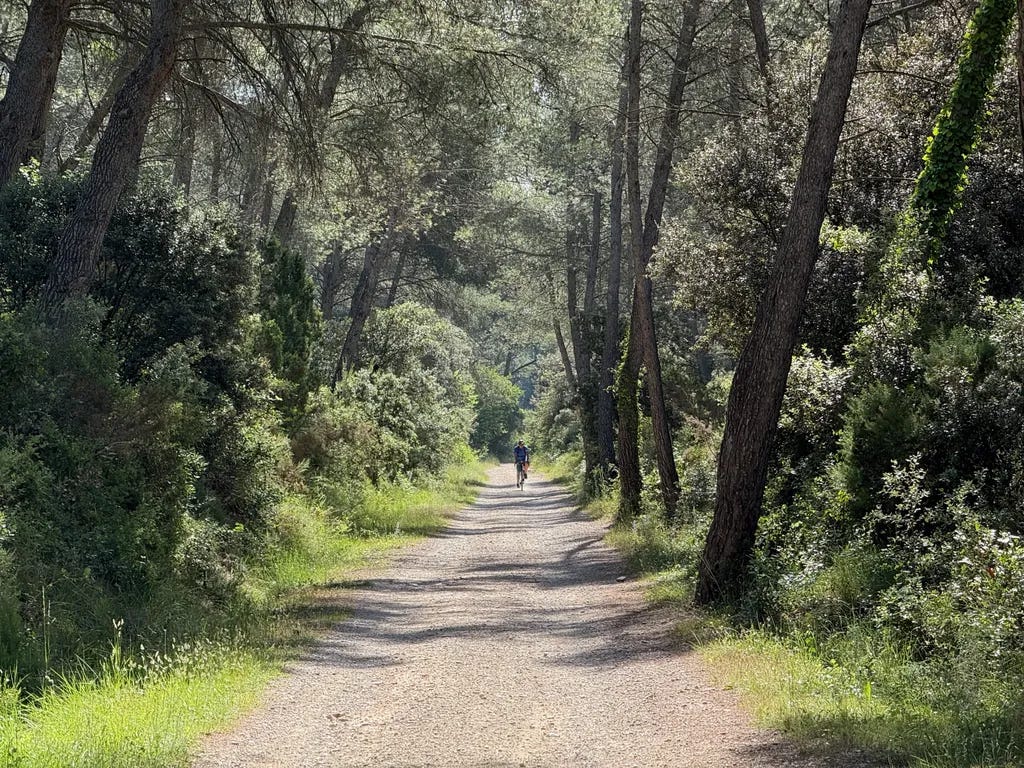 Les Alpilles