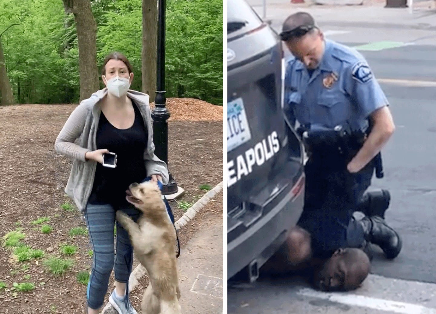 There's an African American man threatening my life.' Amy Cooper ... There's an African American man threatening my life.' Amy Cooper ...