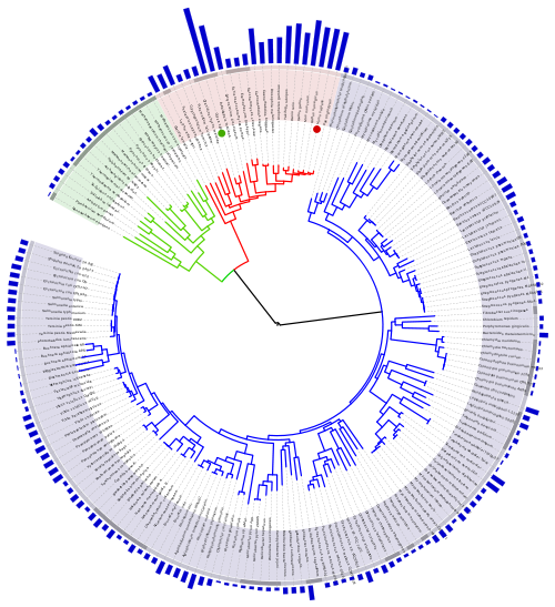Phylogenetic tree of life