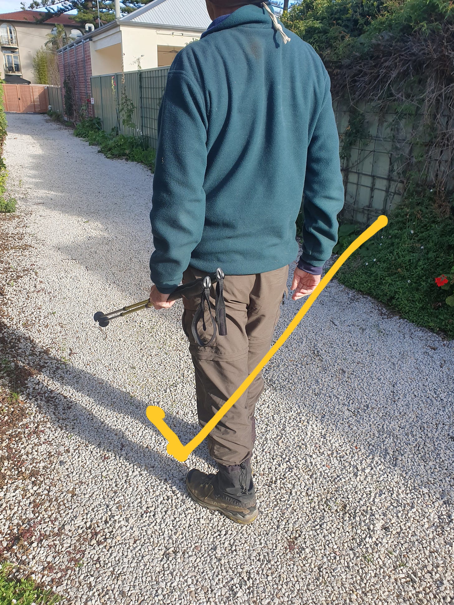 walker with poles held safely forward