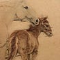 Elizabeth Schneider's avatar