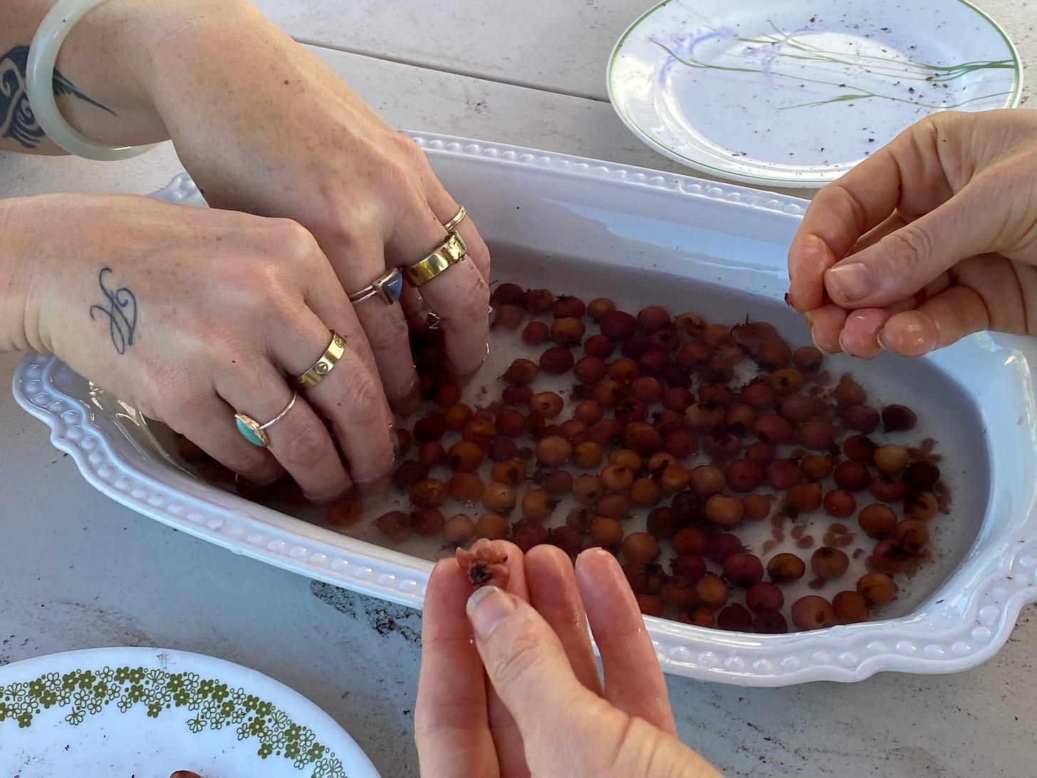 Close-up of a pair of hands wearing many rings soaking in the water, and a pair of hands displaying an open hull with seeds inside.