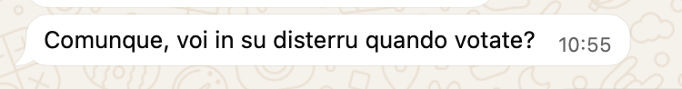 Messaggio WhatsApp che dice "Comunque, voi in su disterru quando votate?"