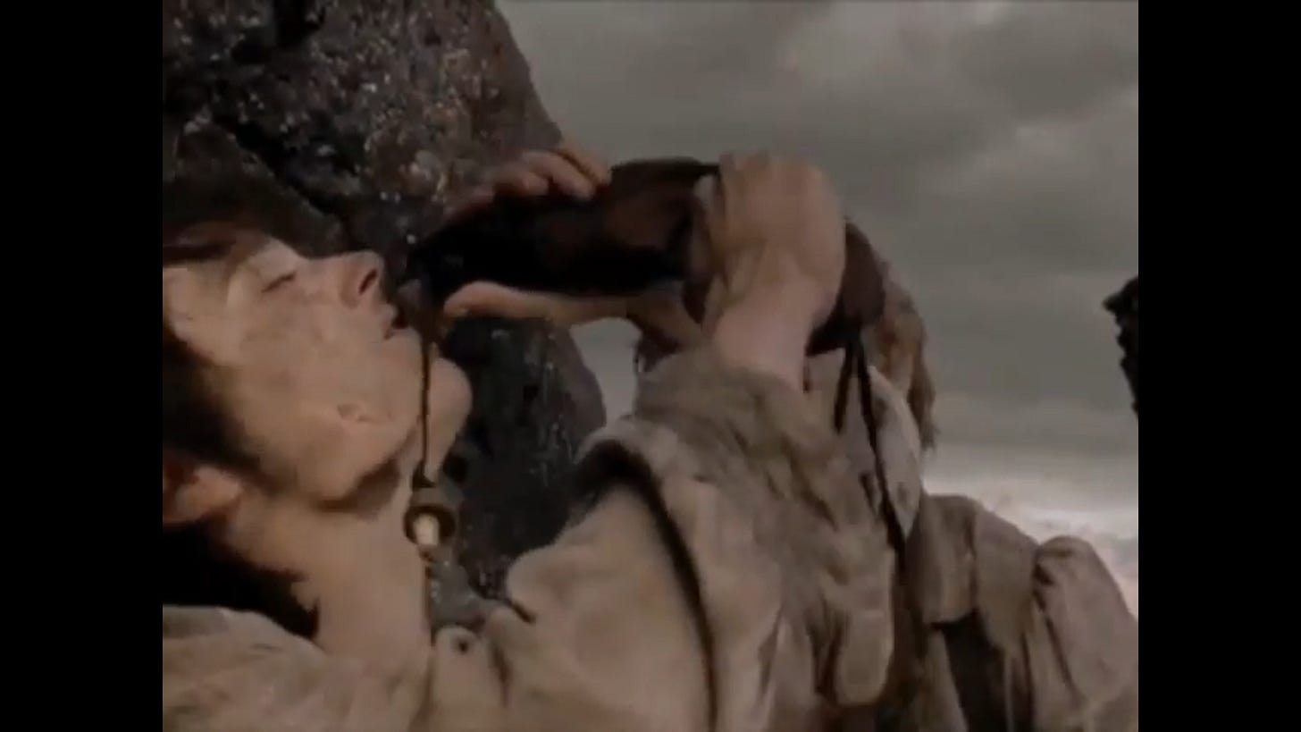 In The Lord of the Rings: The Return of the King (2003) Frodo infuriatingly  spills half of Sam's last drops of water on himself, alluding to the fact  that Frodo is Sam's