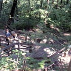 The Backstory: The Devil's Millhopper