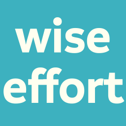 Wise Effort