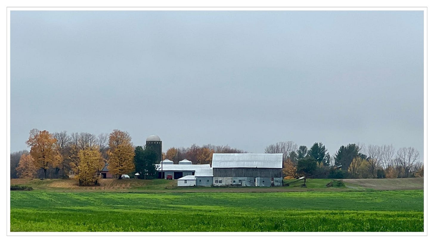 Farm house & barn, green pasture