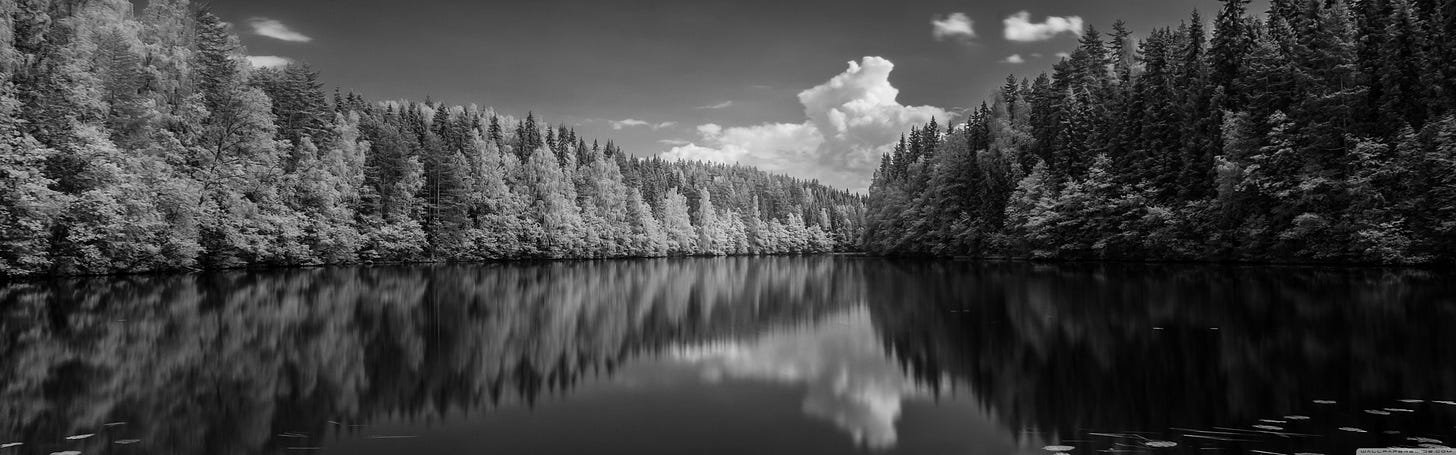 Finland Forest Lake Black and White 4K UHD Wallpaper for UltraHD Desktop  and TV : Widescreen and UltraWide Display : Dual Monitor : Smartphone and  Tablet Devices