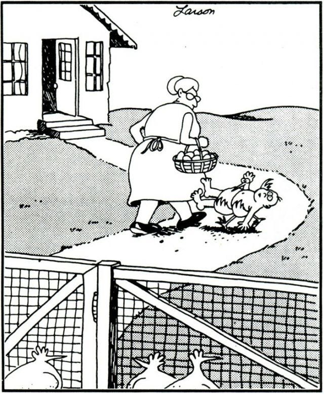 It includes a chicken, ergo it's going in the newsletter. It includes a chicken, ergo it's going in the newsletter.