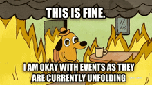 This Is Fine GIFs | Tenor