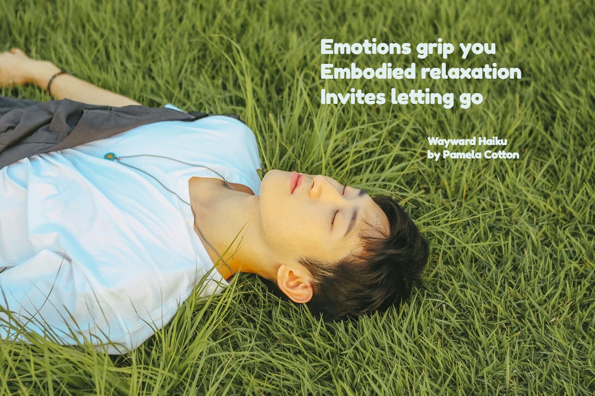 Picture of young person lying in the grass looking very relaxed. Words of a haiku:Emotions grip you. Embodied relaxation invites letting go.